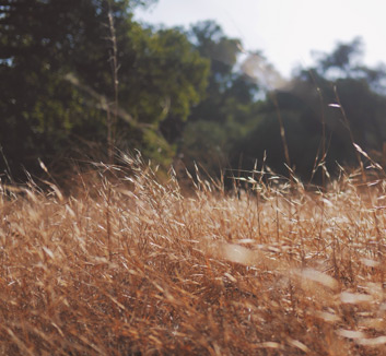 尼姆队在精彩比赛中取得了一场胜利