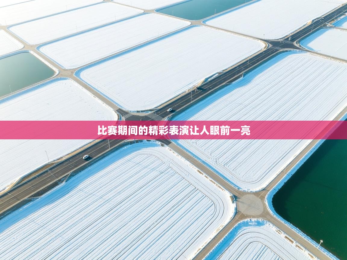 比赛期间的精彩表演让人眼前一亮 第1张