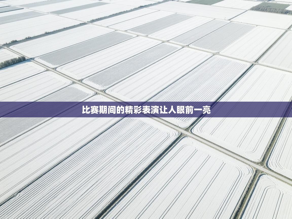 比赛期间的精彩表演让人眼前一亮 第2张