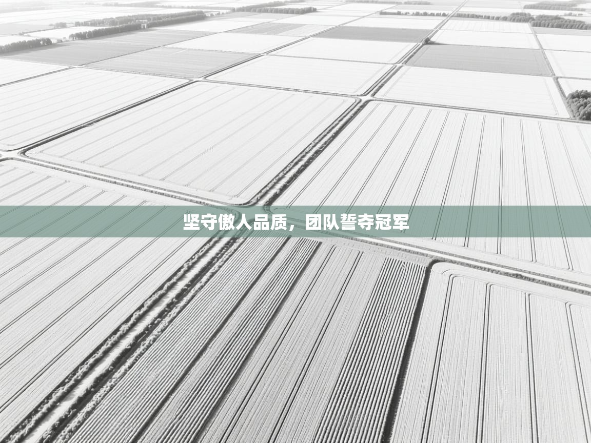 坚守傲人品质,团队誓夺冠军 第1张