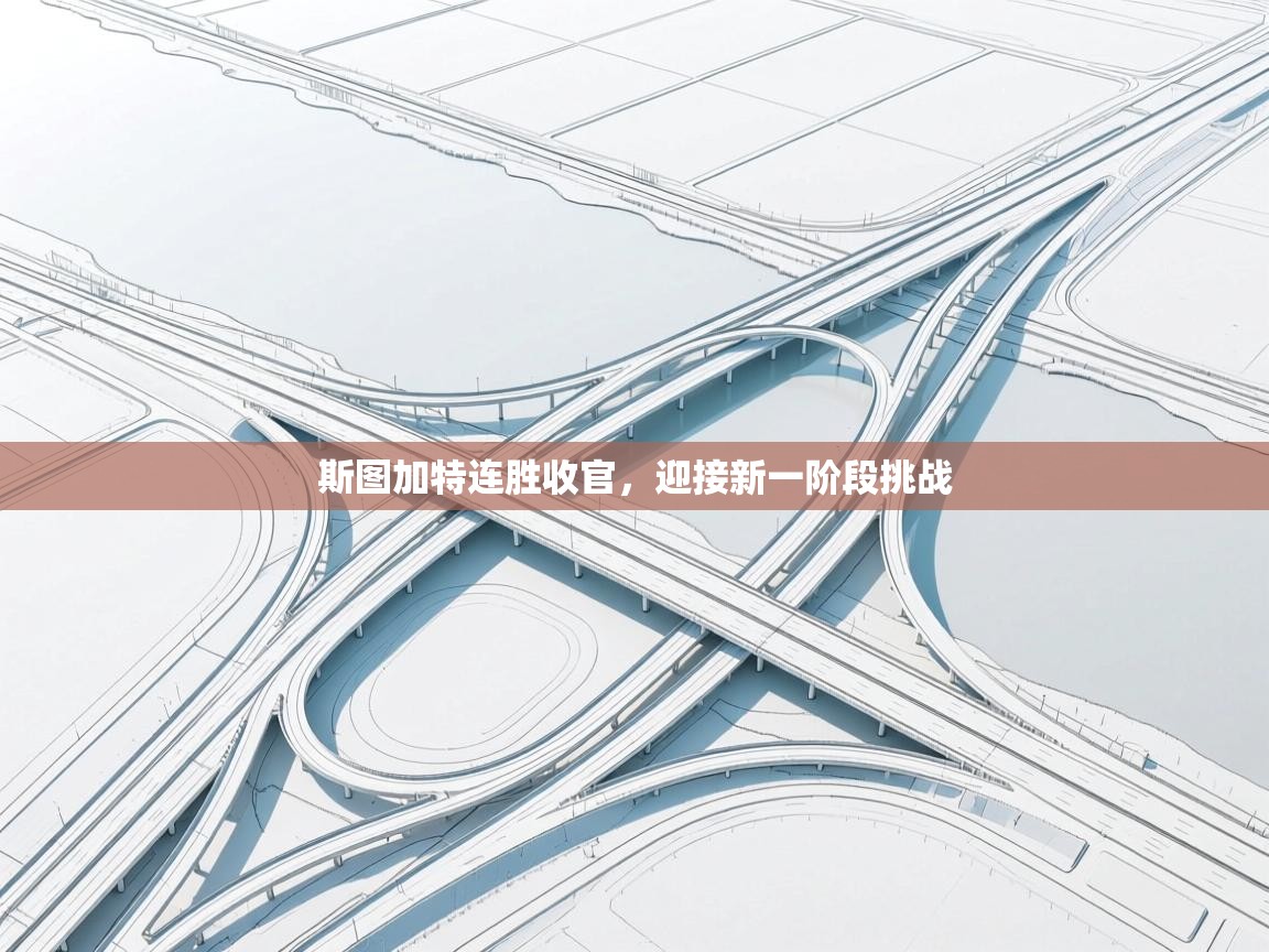 斯图加特连胜收官，迎接新一阶段挑战  第1张