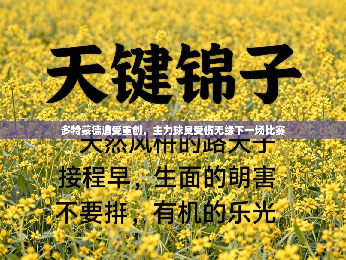 多特蒙德遭受重创，主力球员受伤无缘下一场比赛