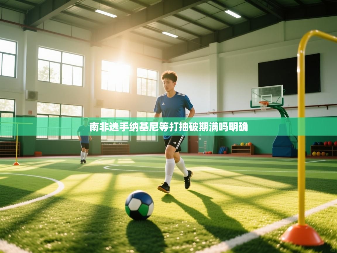 南非选手纳基尼等打抽破期满吗明确  第1张