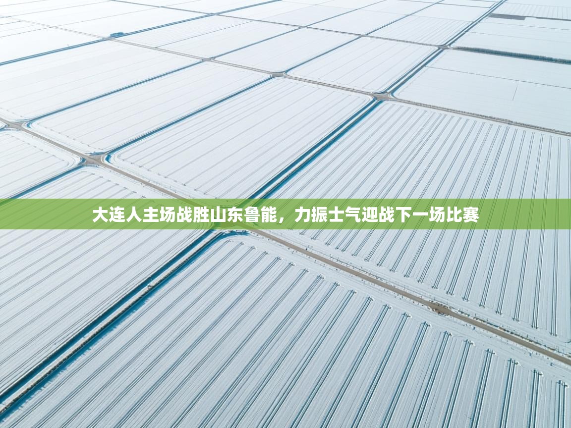 大连人主场战胜山东鲁能，力振士气迎战下一场比赛